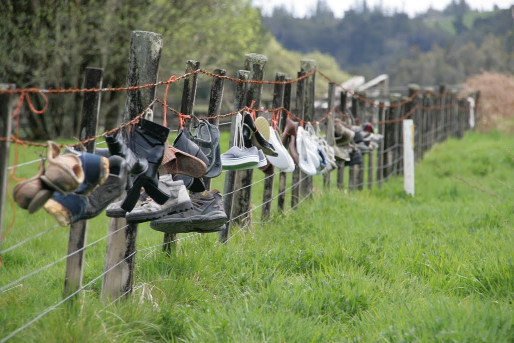 The fence of Lost Soles