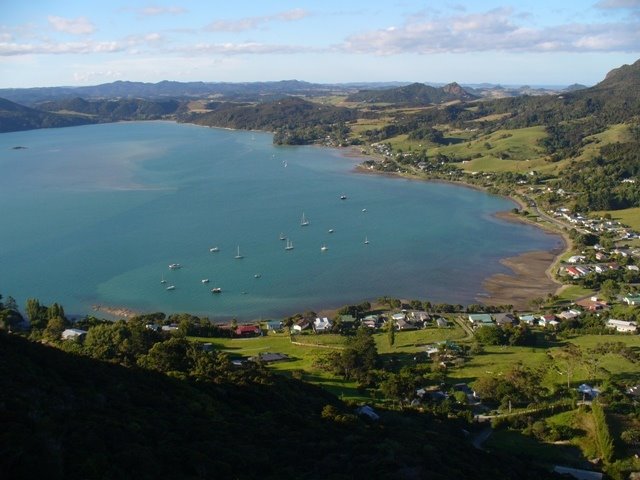 View of McLeod Bay from Mount Aubry