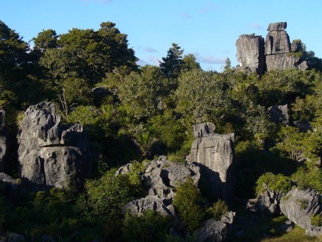 Waro Limestone Reserve