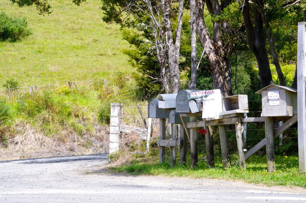 No mass produced plastic mailboxes on Rawhiti Road!