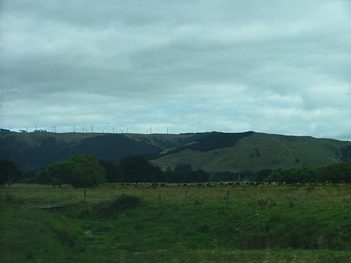 looking towards the wind turbines on the southern Ruahine Range near Woodville