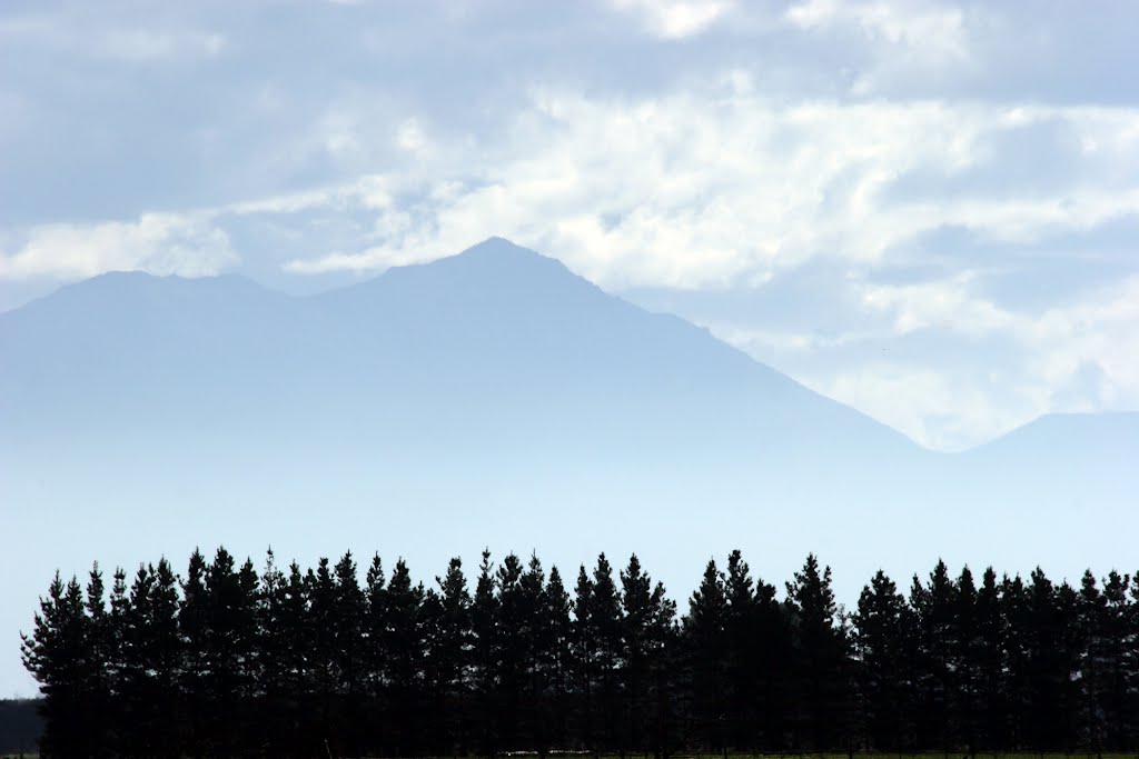 Welcome to the Canterbury Plains with their Mountain Backdrop