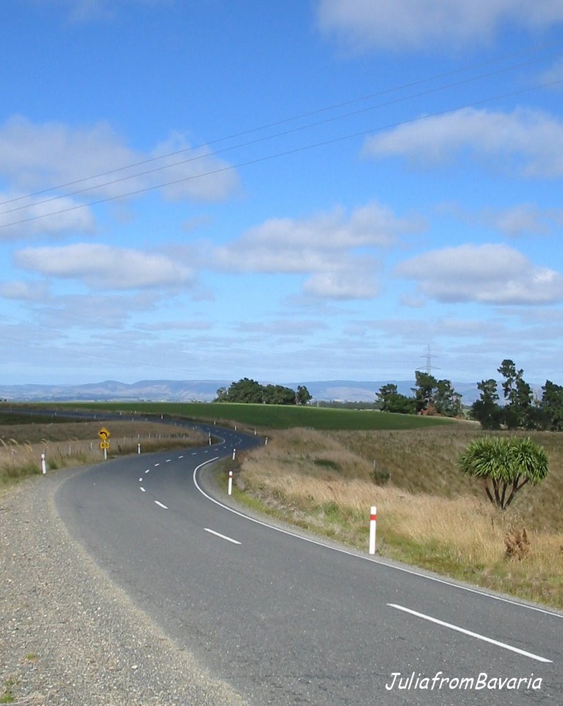 empty road in South Otago, N.Z.